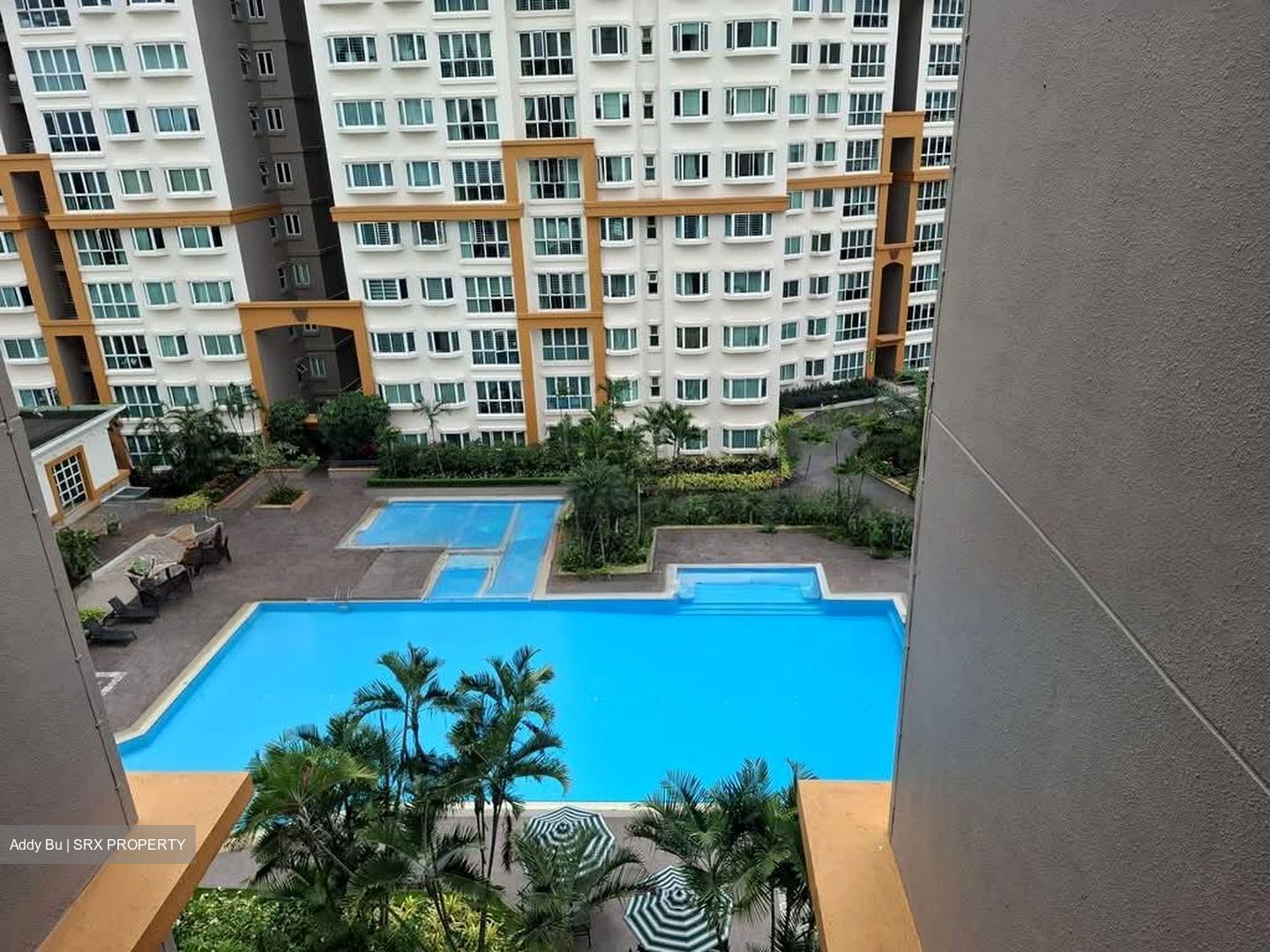 Evergreen Park (D19), Apartment #577146921